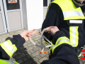 Halbmastwurf an der Oese 03