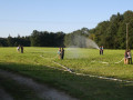 IMG 3783