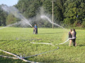 IMG 3784