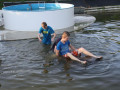 IMG 3810