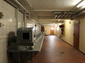 IMG 6137