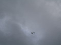 2016 05 04 6681 Brand FaWeiss Wurzach