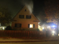 IMG 1194