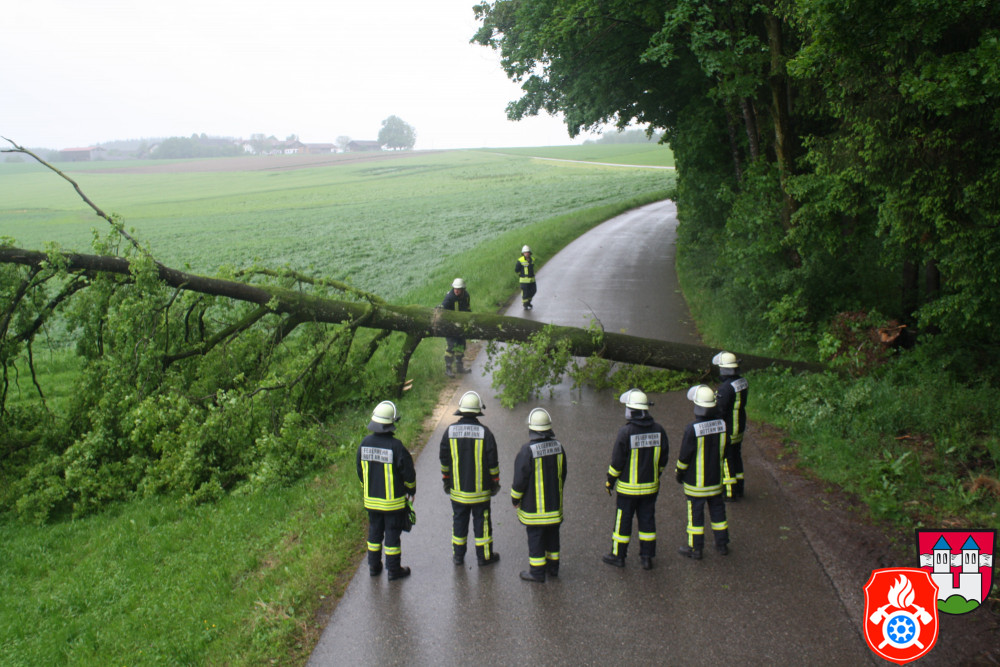 2016 05 24 6794 BaumAufFahrbahn Dinding