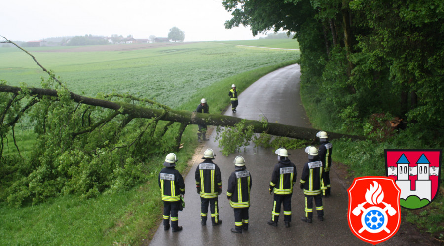 2016 05 24 6794 BaumAufFahrbahn Dinding