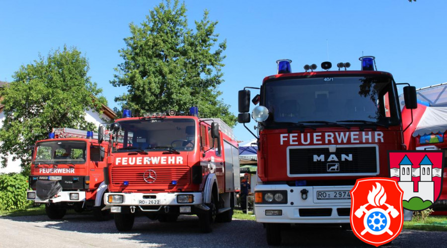 FW Sommerfest 2016 3