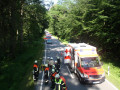 IMG 6945