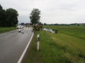 IMG 7242