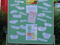FW Sommerfest 2016 11