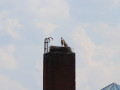 IMG 5315