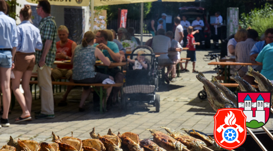 ffw sommerfest16 110