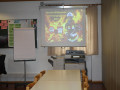 IMG 7557