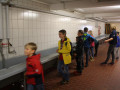 IMG 7592