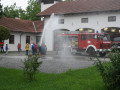 IMG 7637