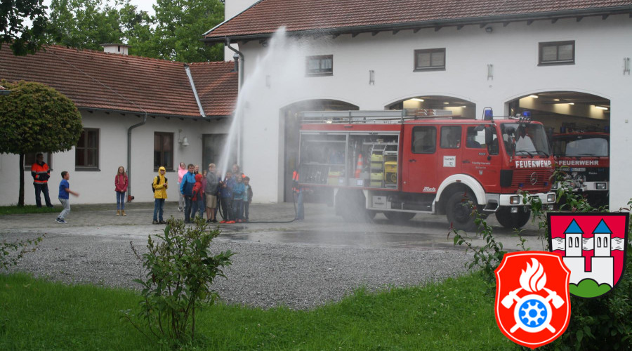 IMG 7637