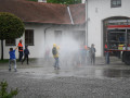 IMG 7639