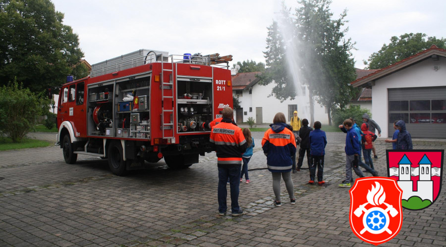 IMG 7649