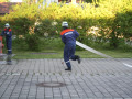 IMG 9079