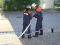 IMG 9082