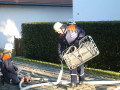 IMG 9086