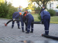 IMG 9110