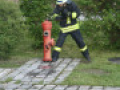IMG 9163