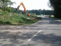 20170824 RO 41 Baumf  llarbeiten  10 
