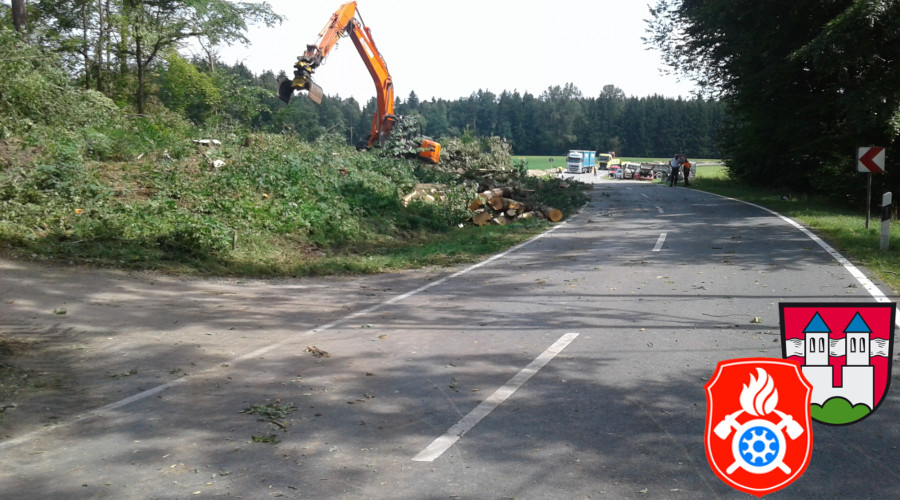 20170824 RO 41 Baumf  llarbeiten  10 