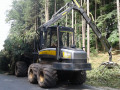 20170824 RO 41 Baumf  llarbeiten  11 