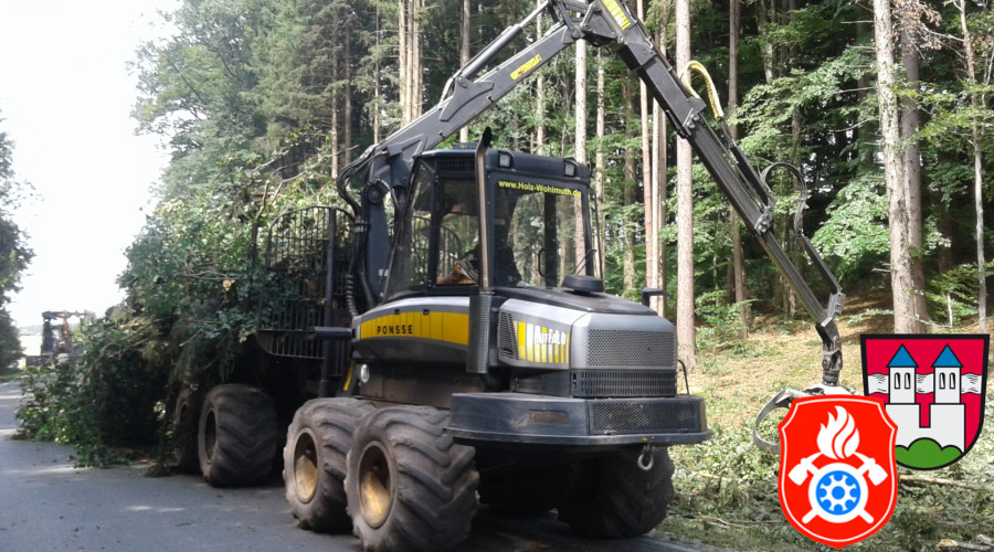 20170824 RO 41 Baumf  llarbeiten  11 