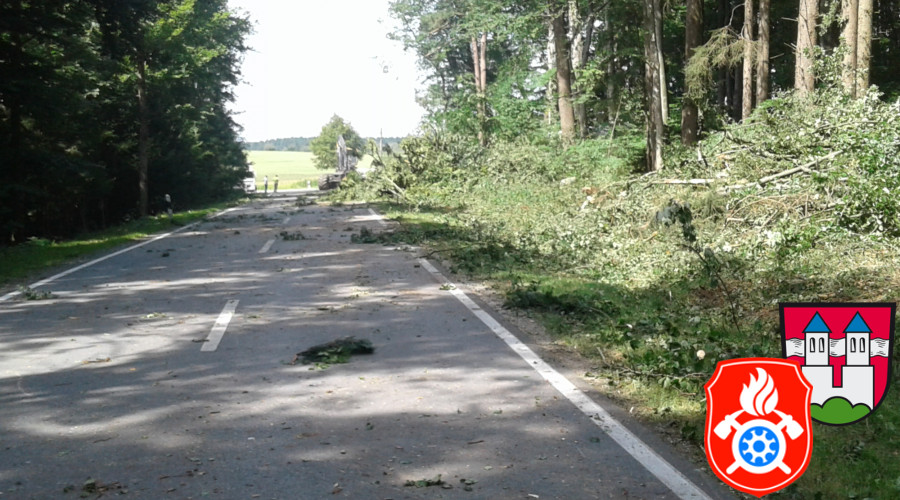 20170824 RO 41 Baumf  llarbeiten  12 