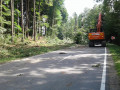20170824 RO 41 Baumf  llarbeiten  13 