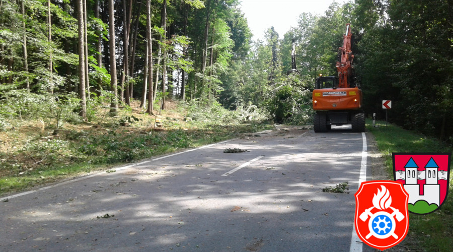 20170824 RO 41 Baumf  llarbeiten  13 