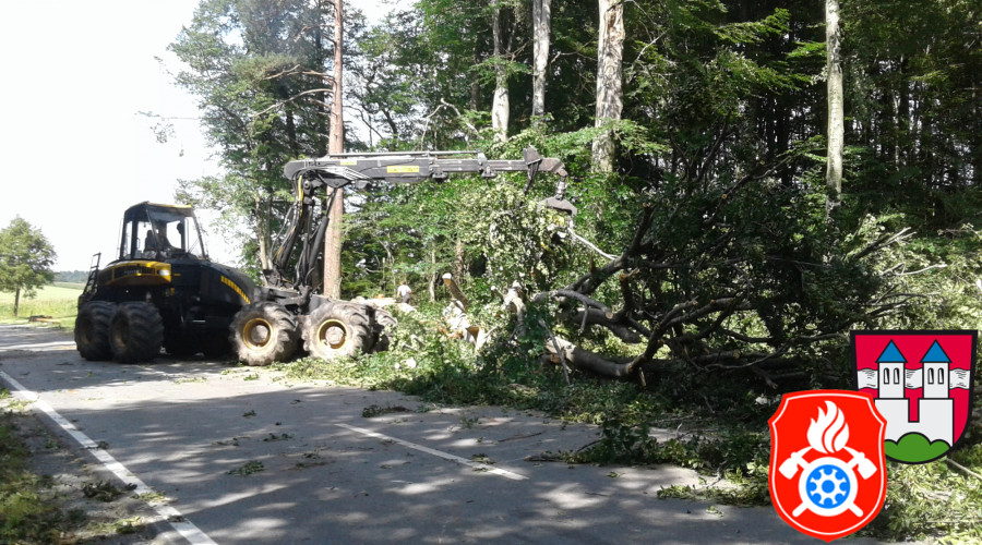 20170824 RO 41 Baumf  llarbeiten  20 