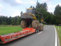 20170824 RO 41 Baumf  llarbeiten  25 