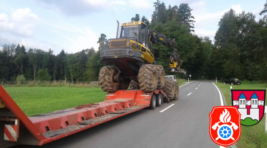 20170824 RO 41 Baumf  llarbeiten  25 