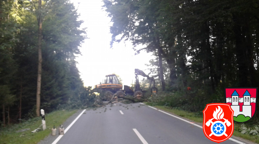 20170824 RO 41 Baumf  llarbeiten  3 