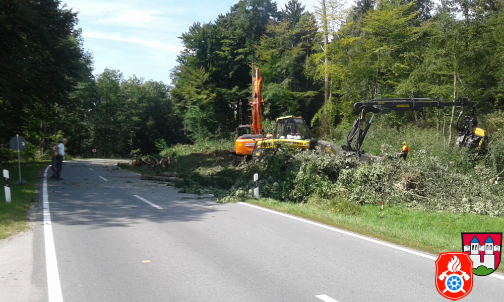 20170824 RO 41 Baumf  llarbeiten  4 