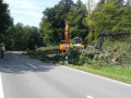 20170824 RO 41 Baumf  llarbeiten  4 