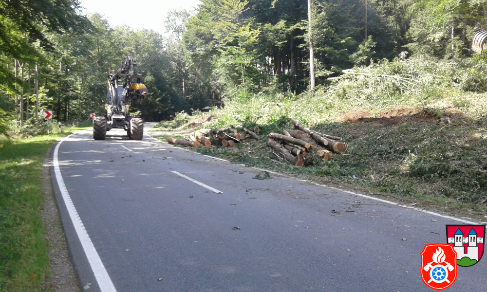 20170824 RO 41 Baumf  llarbeiten  7 