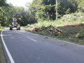 20170824 RO 41 Baumf  llarbeiten  7 