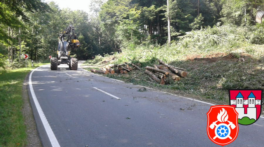 20170824 RO 41 Baumf  llarbeiten  7 