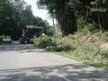 20170824 RO 41 Baumf  llarbeiten  9 