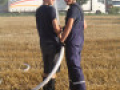 2017 08 02 Lengdorf Ost  13 