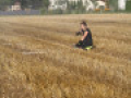 2017 08 02 Lengdorf Ost  34 