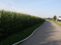 2017 08 02 Lengdorf Ost  51 