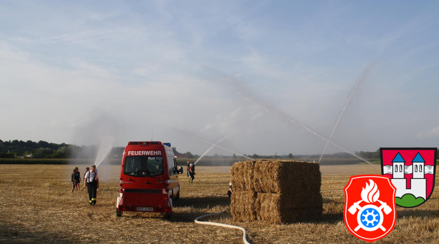 2017 08 02 Lengdorf Ost  53 