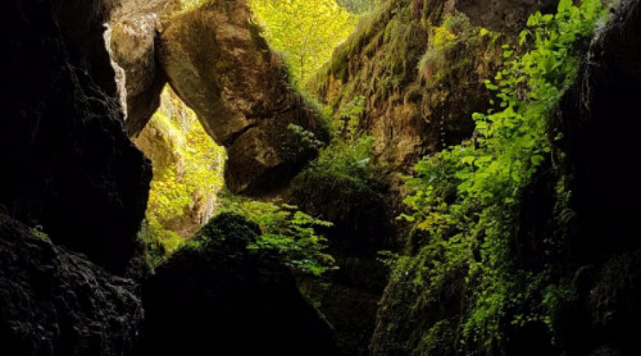 2017 09 23 Feuerwehrausflug  59 