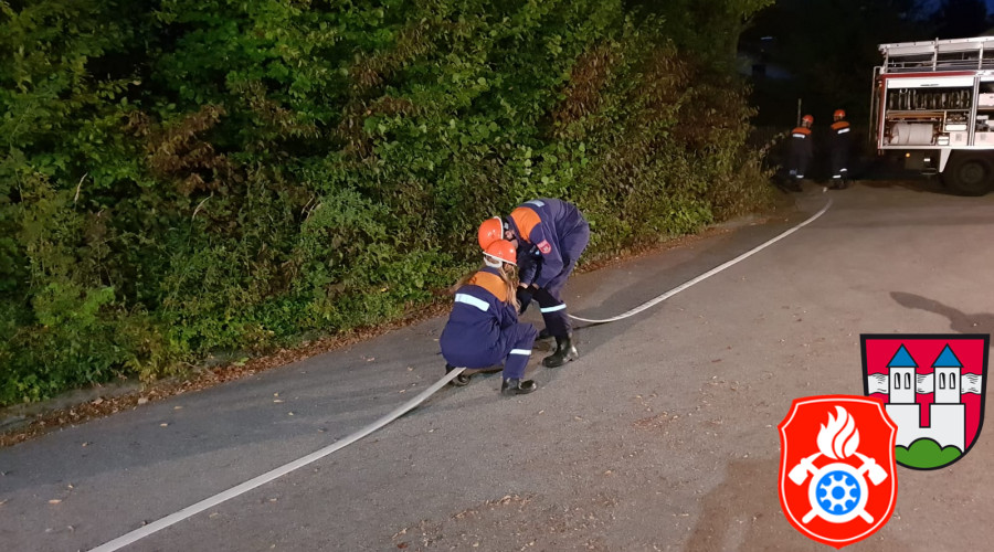 2018 10 04 Bay Leistungsabzeichen  19 