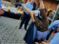 2018 10 12 Wei  ertwecken Bernadette  80 